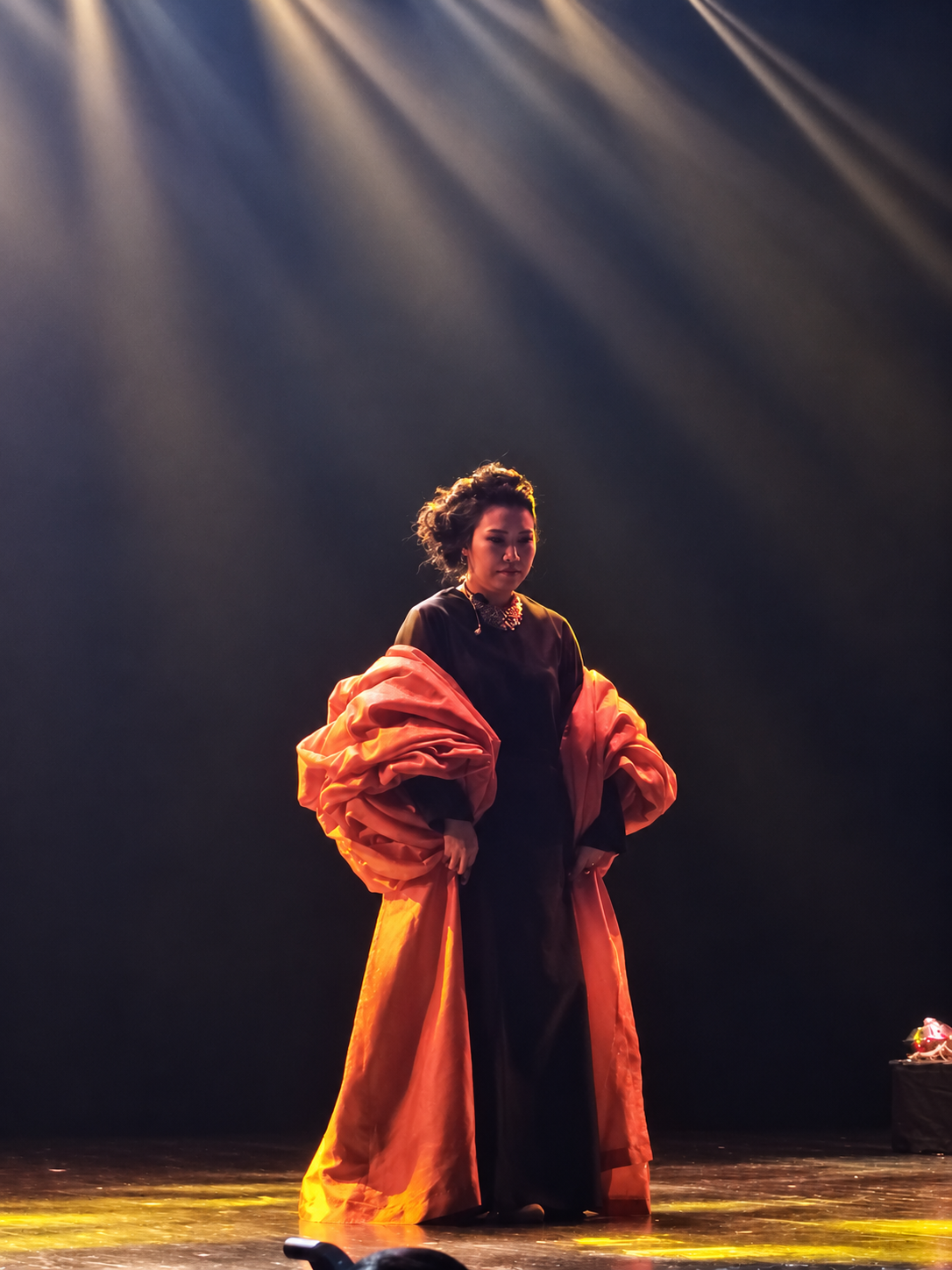 Ang Mei Foong · Soloist · Huazong Chinese Literature Awards · Permaisuri Zarith Sofiah Opera House, Johor Bahru · 8 June 2024